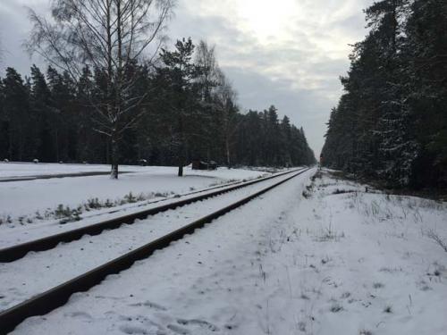 2016-02-19 12.04.07-1