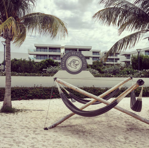 2018-09-30 09.49.30-1